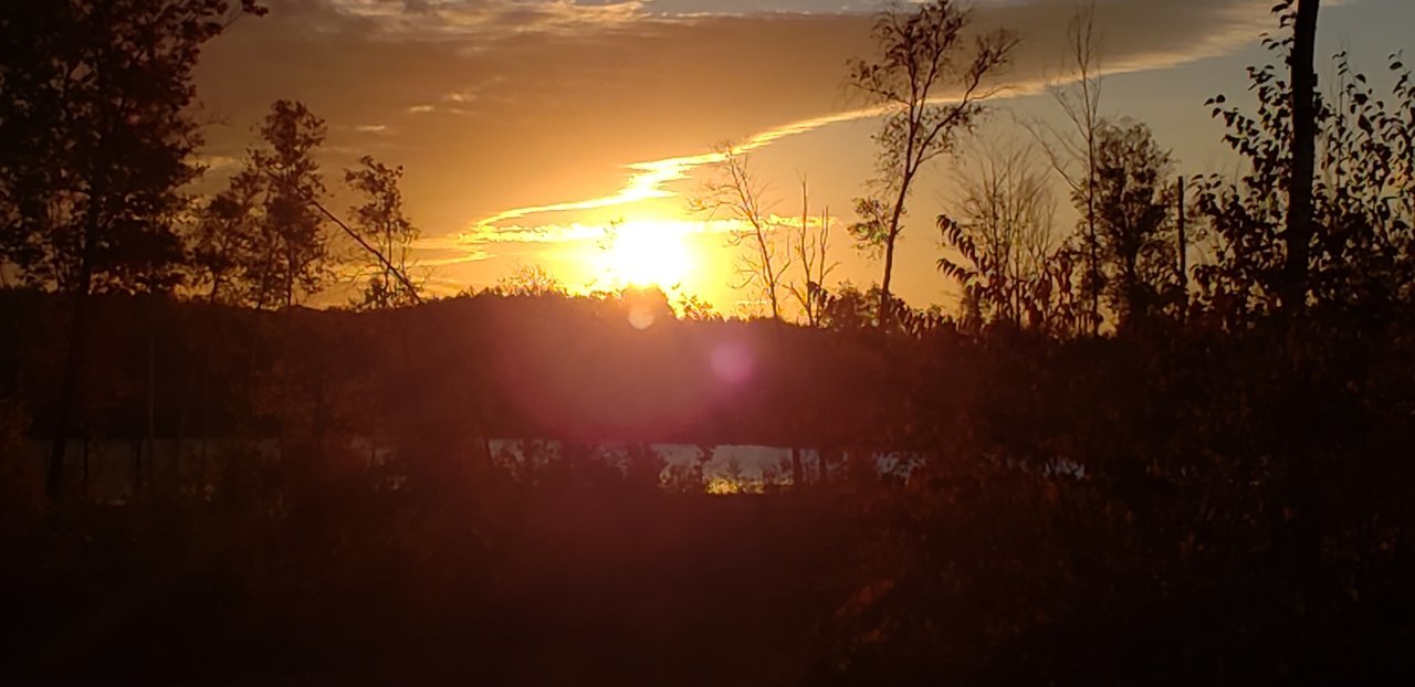 20221008_073340.jpg