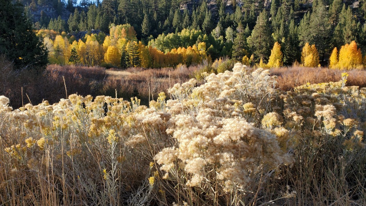 20221008_172439.jpg