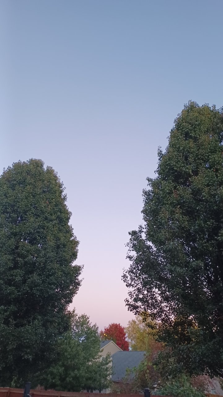 20221008_191707.jpg