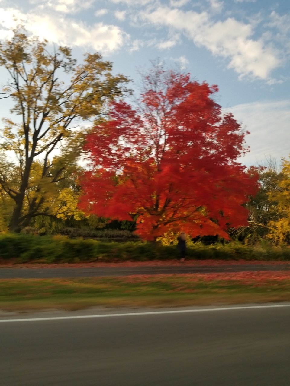 20221009_173746.jpg
