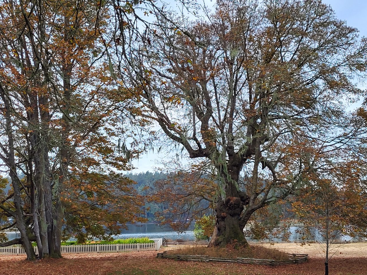 20221010_094945.jpg