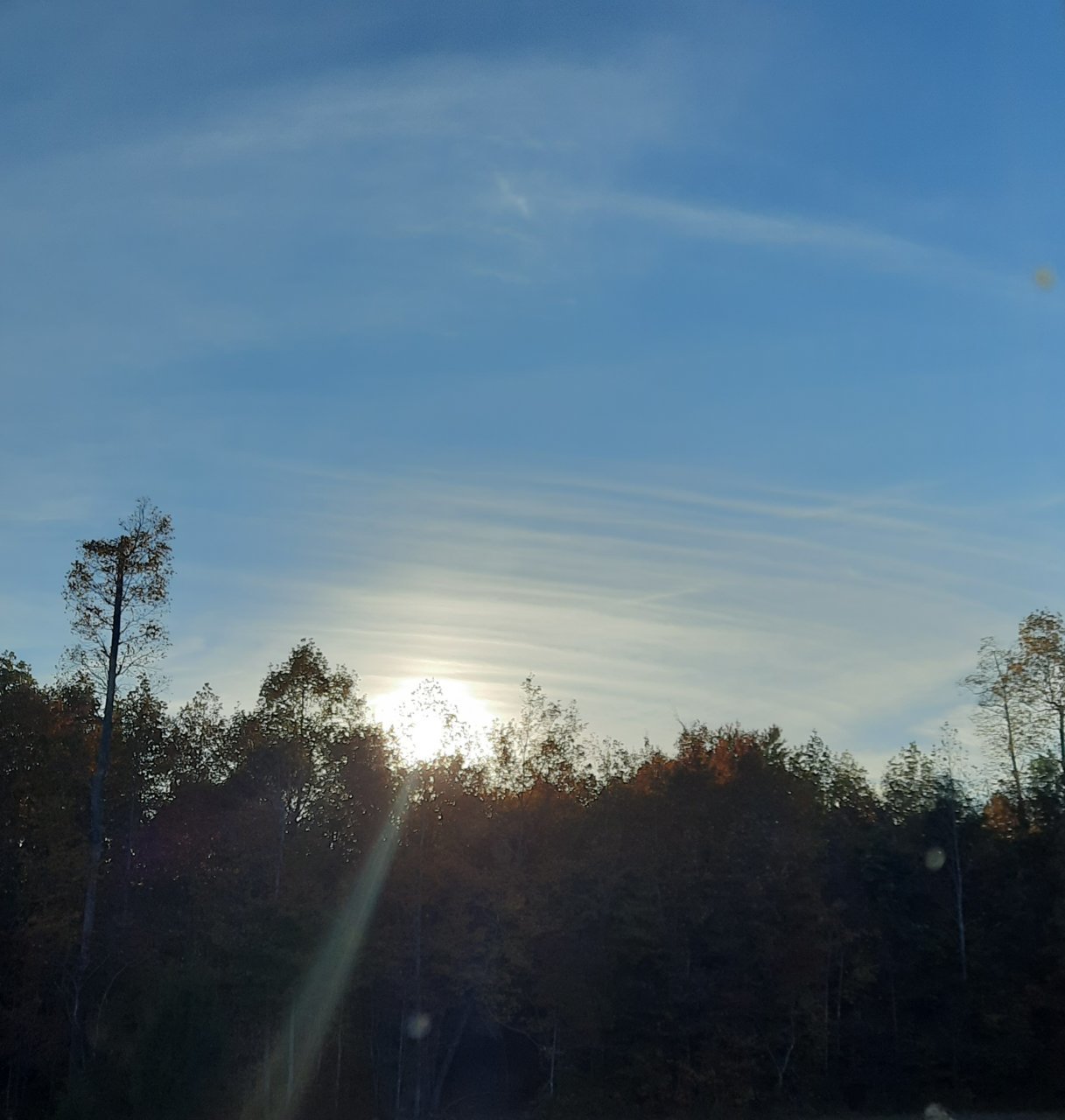 20221011_180428.jpg