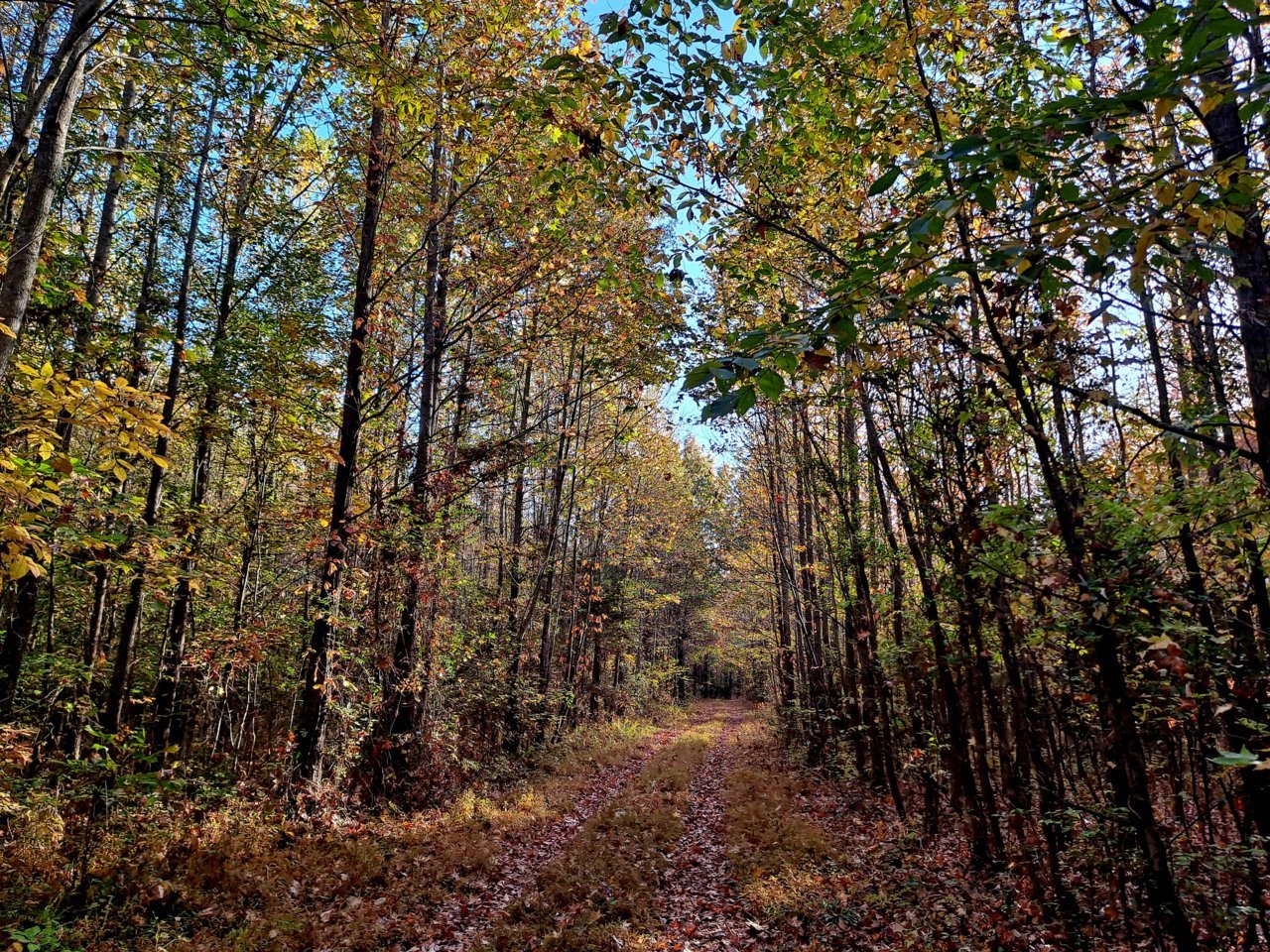 20221013_083120.jpg