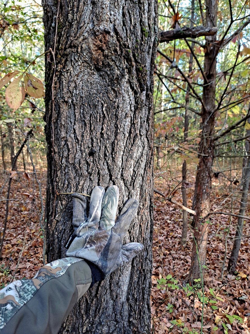20221013_083350.jpg