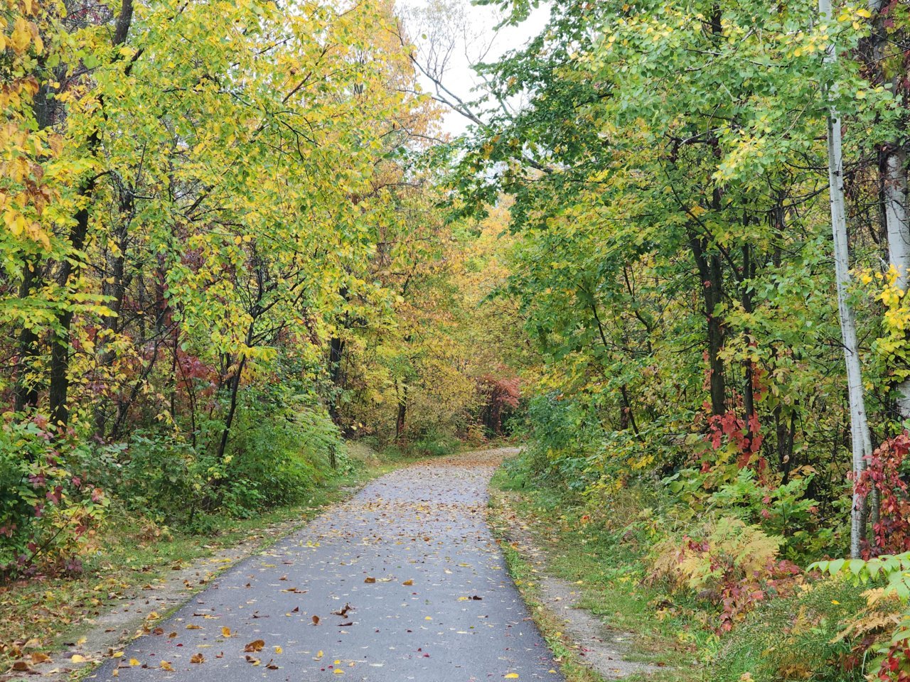 20221013_094152.jpg