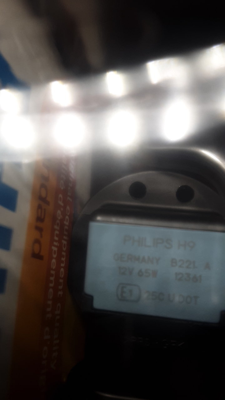 20221013_113834.jpg