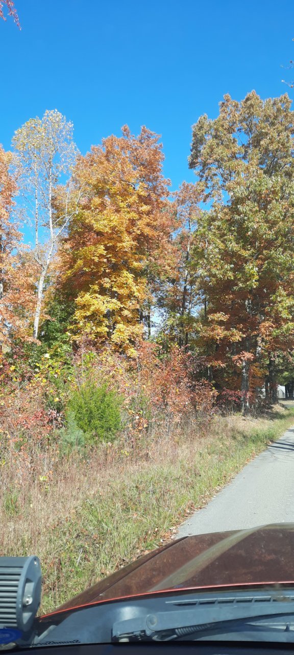 20221014_115031.jpg