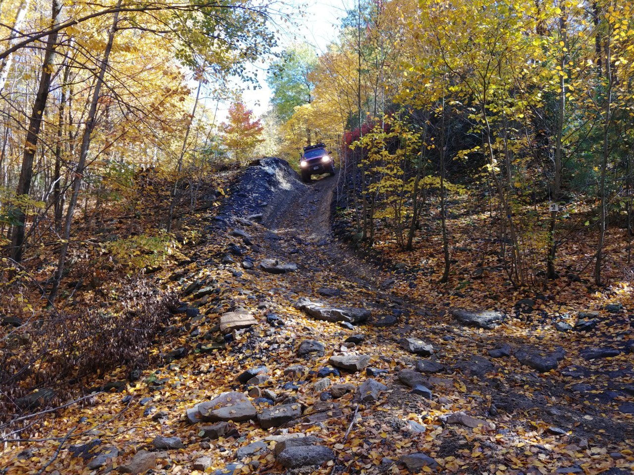 20221014_123931.jpg