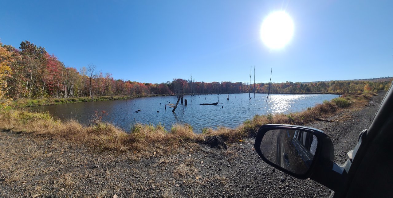 20221015_101454.jpg