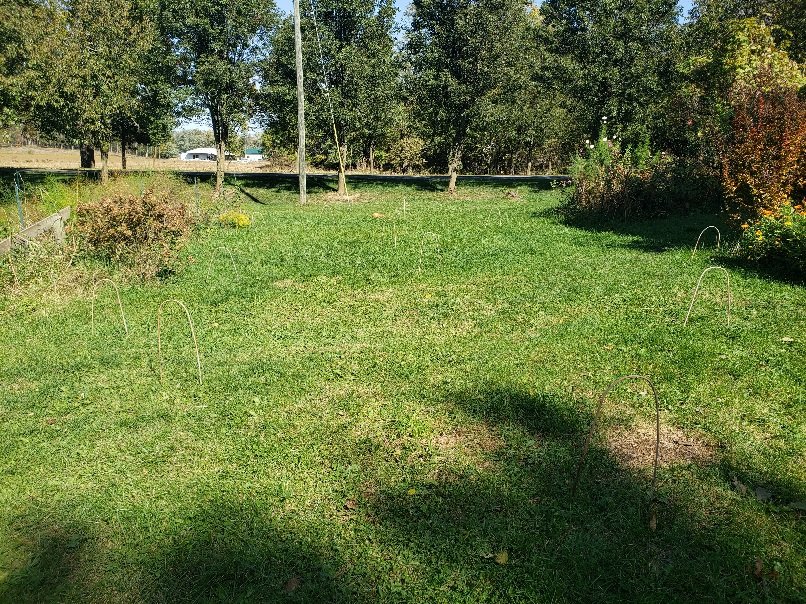 20221015_124322.jpg