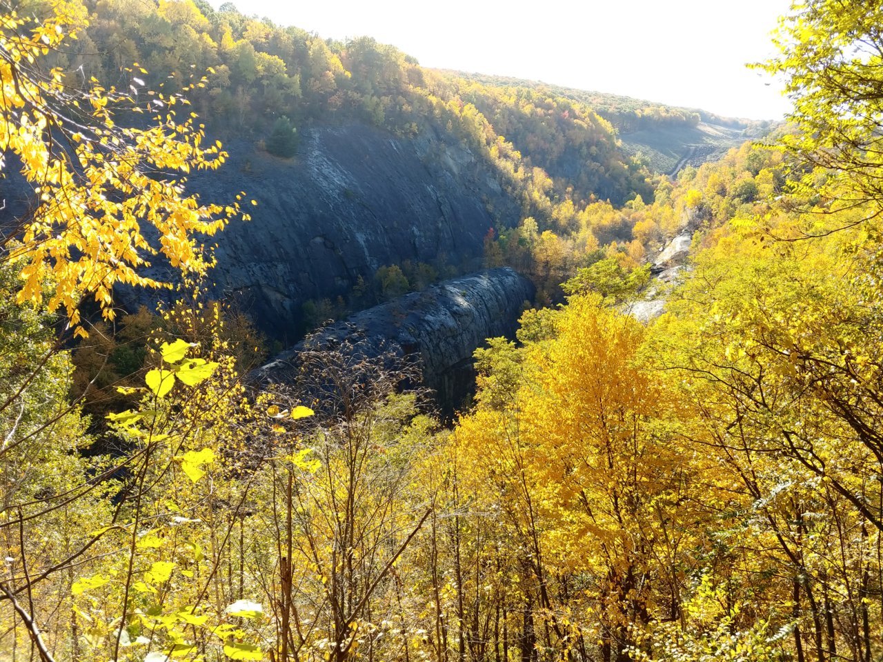 20221015_155120.jpg
