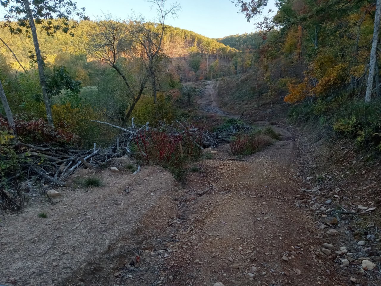 20221015_175654.jpg