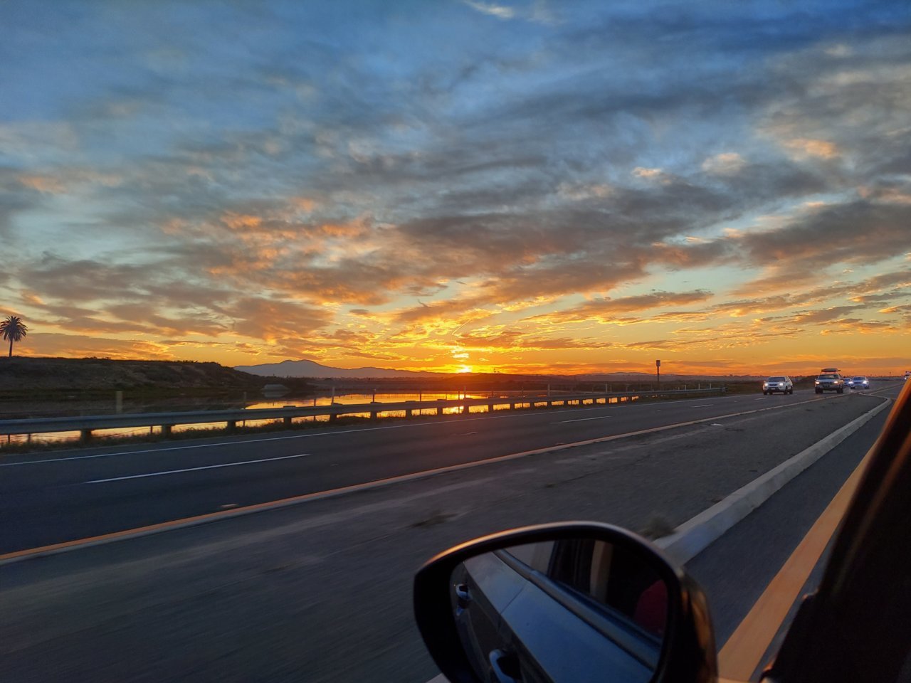 20221020_070332.jpg