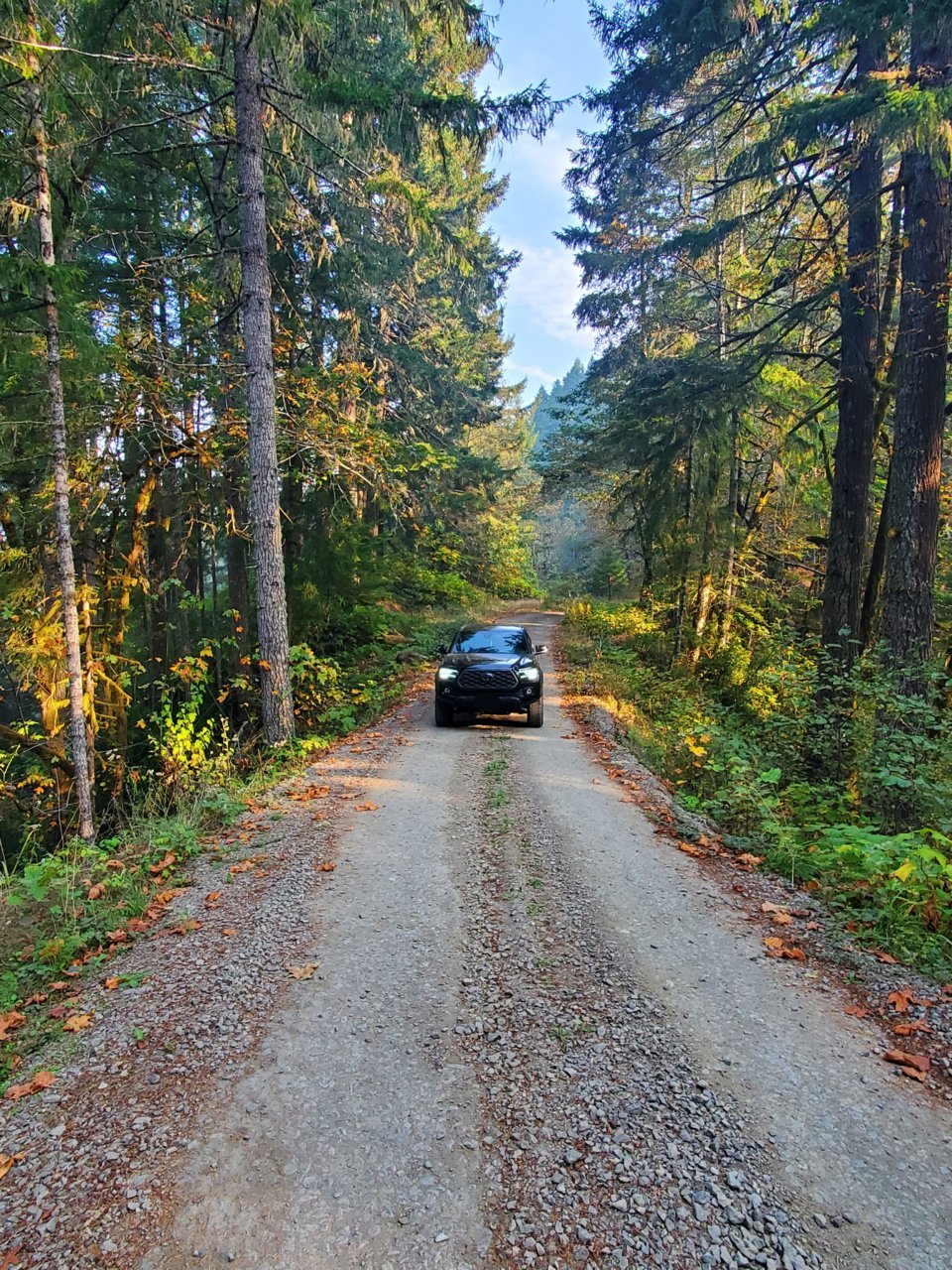 20221020_095536.jpg