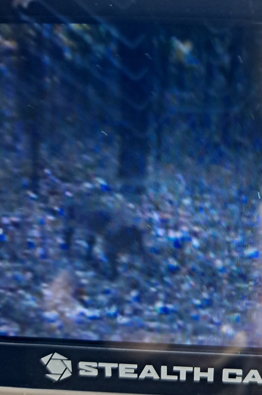 20221021_100603.jpg