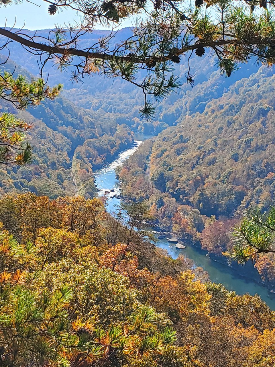 20221022_105042.jpg