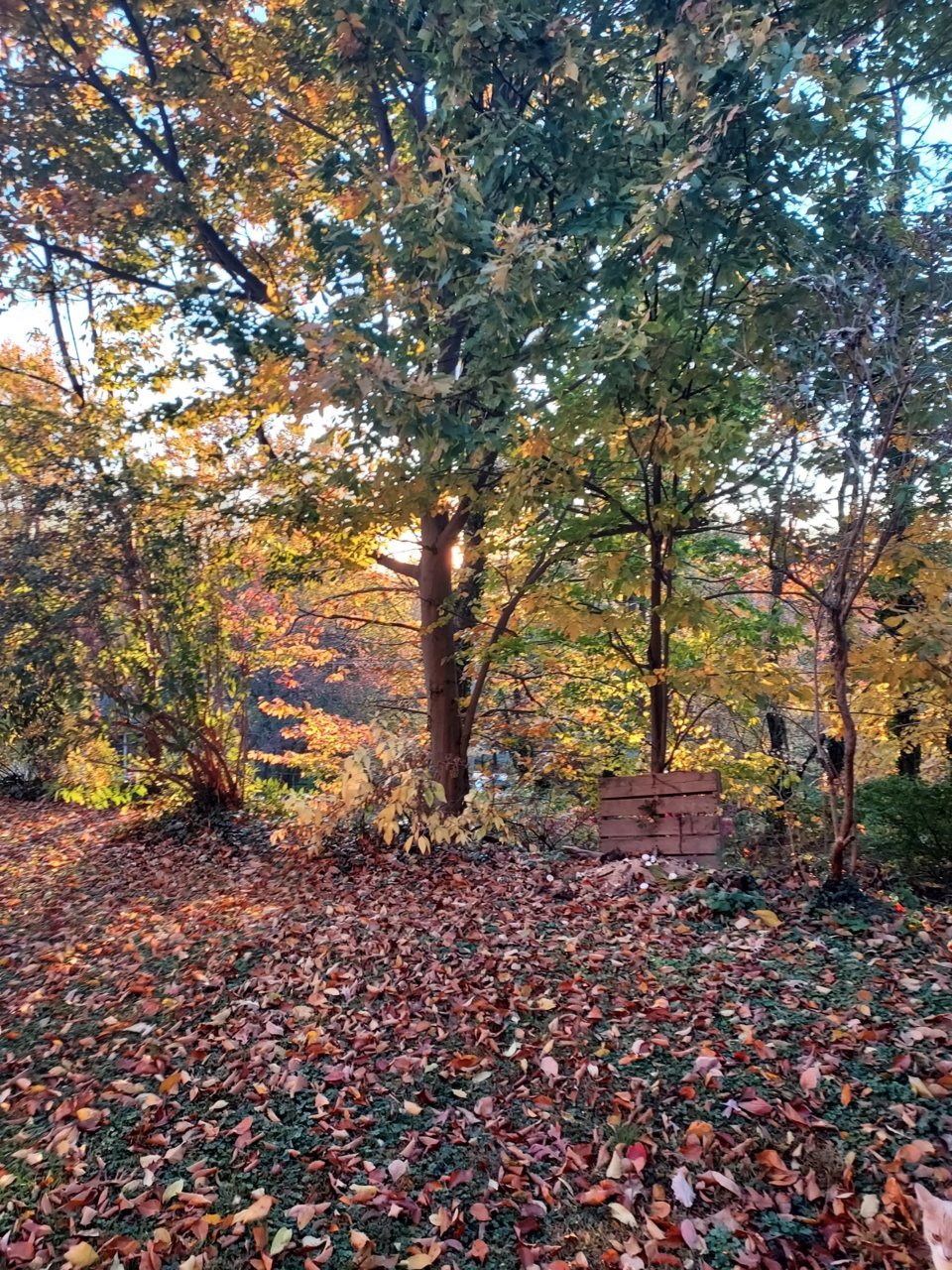 20221027_180026.jpg