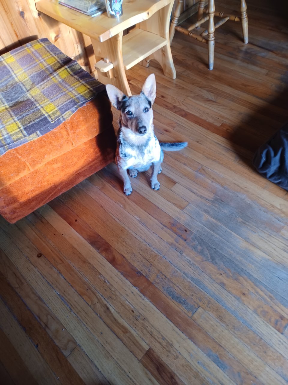 20221028_131943.jpg