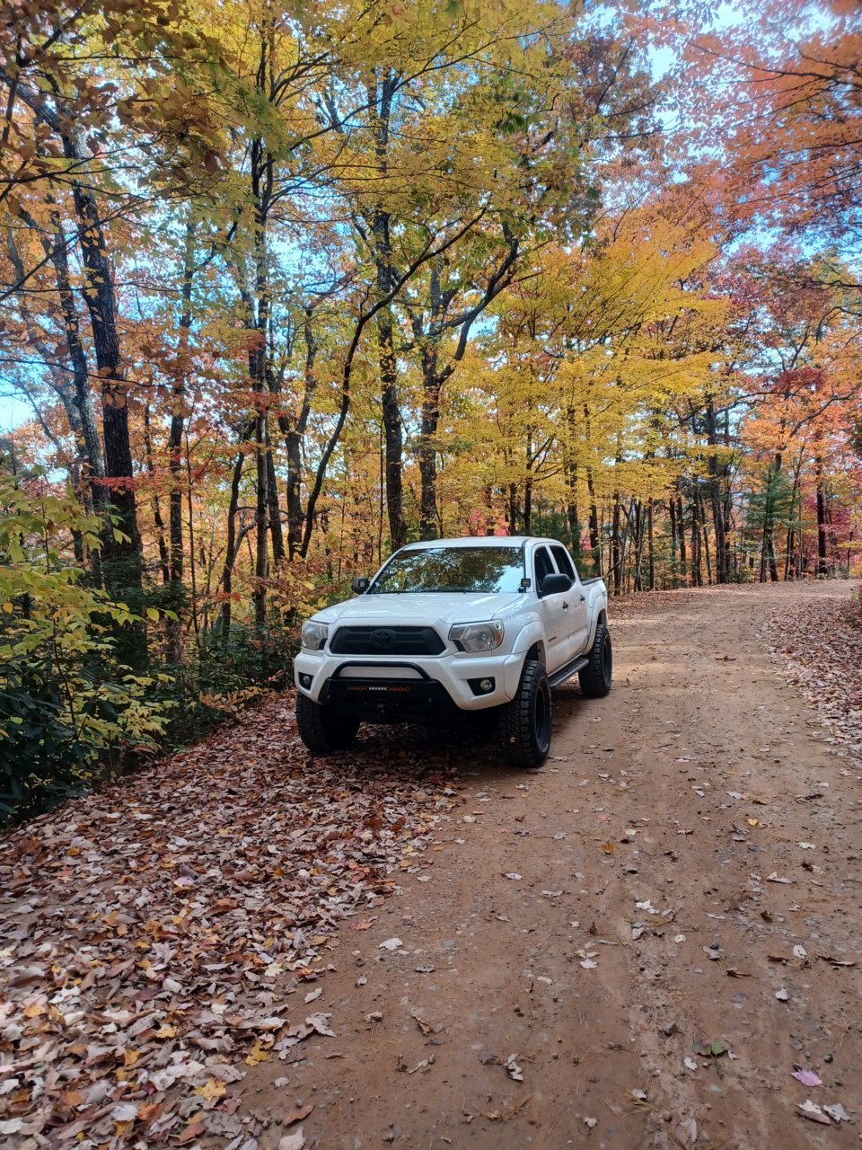 20221028_145447.jpg
