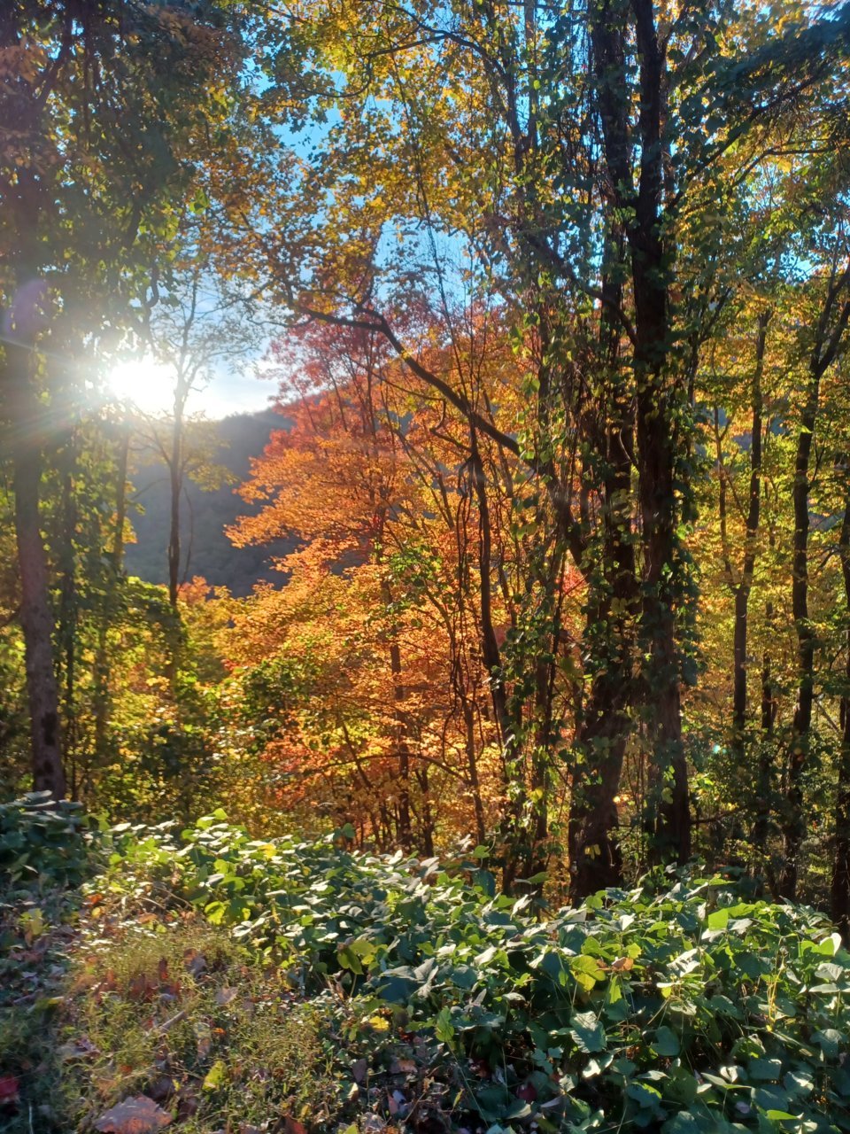 20221028_181005.jpg