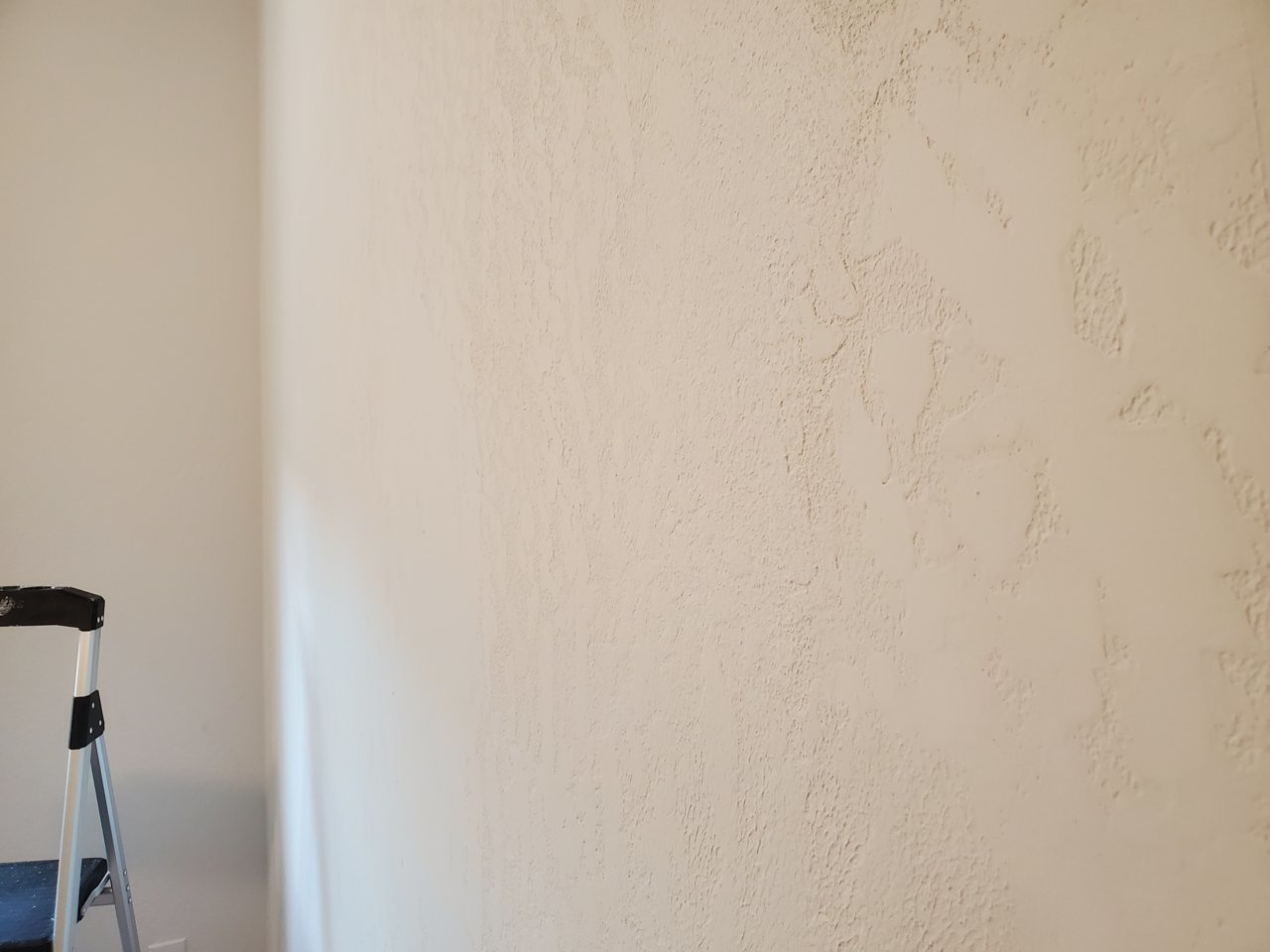 20221029_124457.jpg
