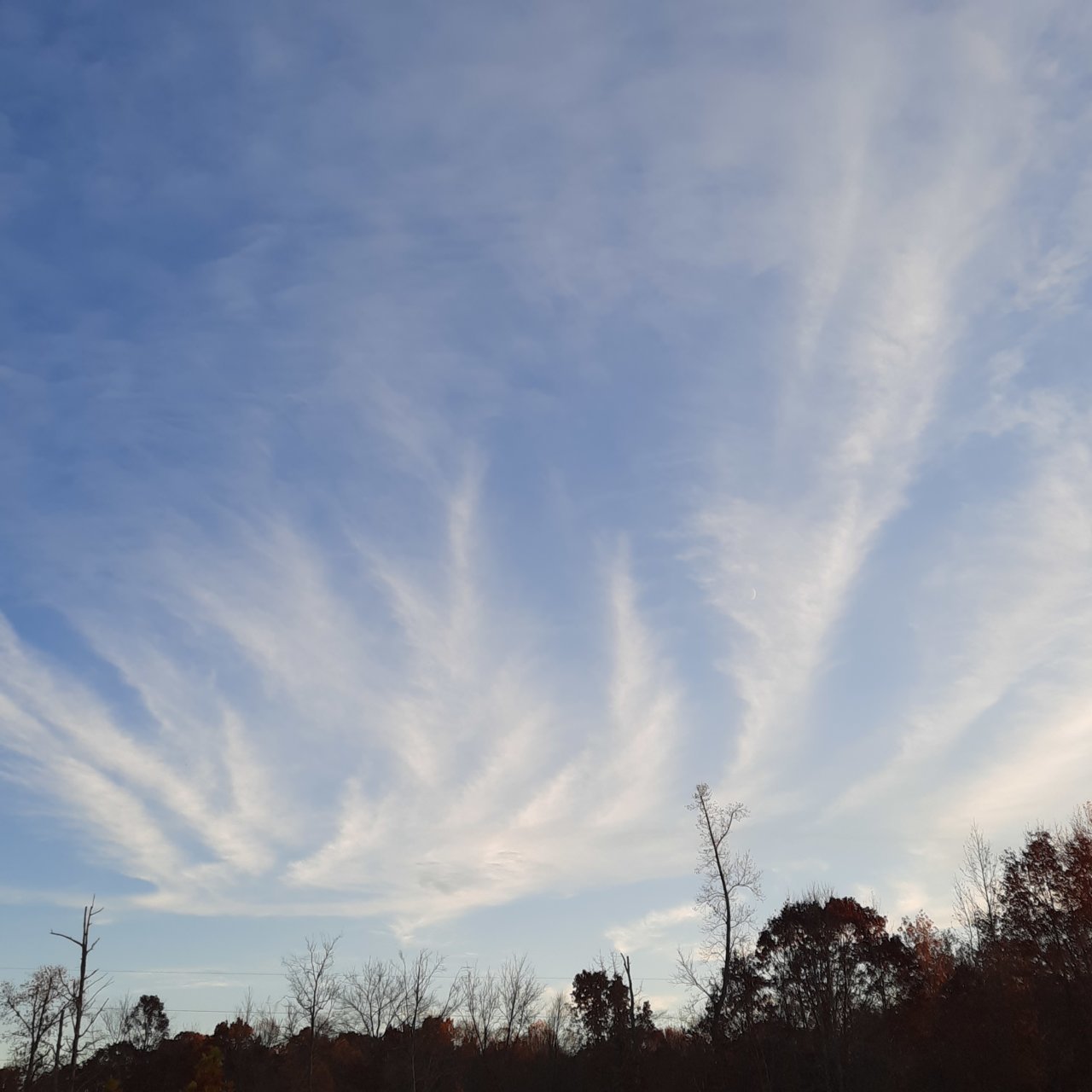 20221029_183110.jpg