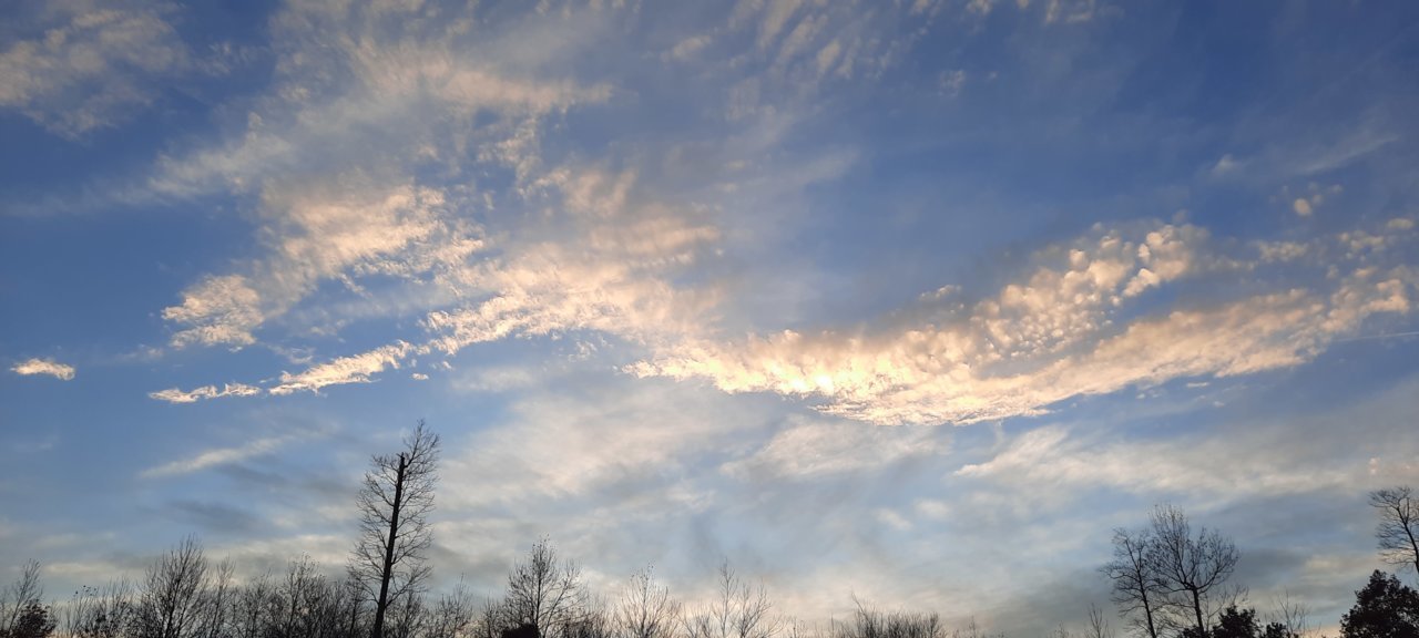 20221029_184045.jpg