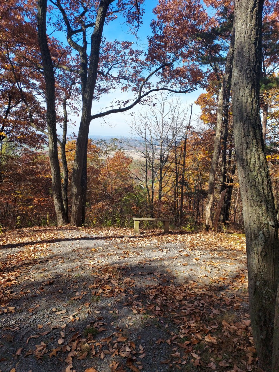 20221030_123952.jpg