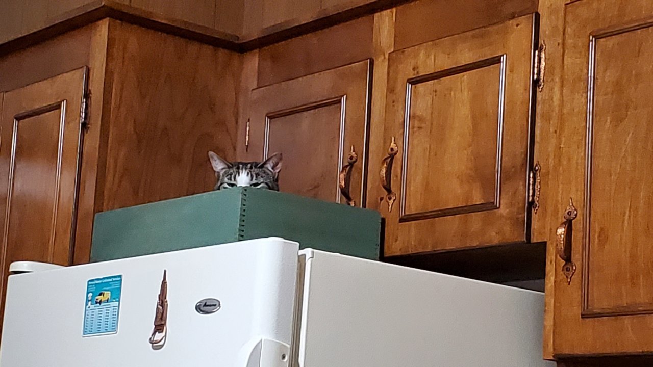 20221030_171509.jpg