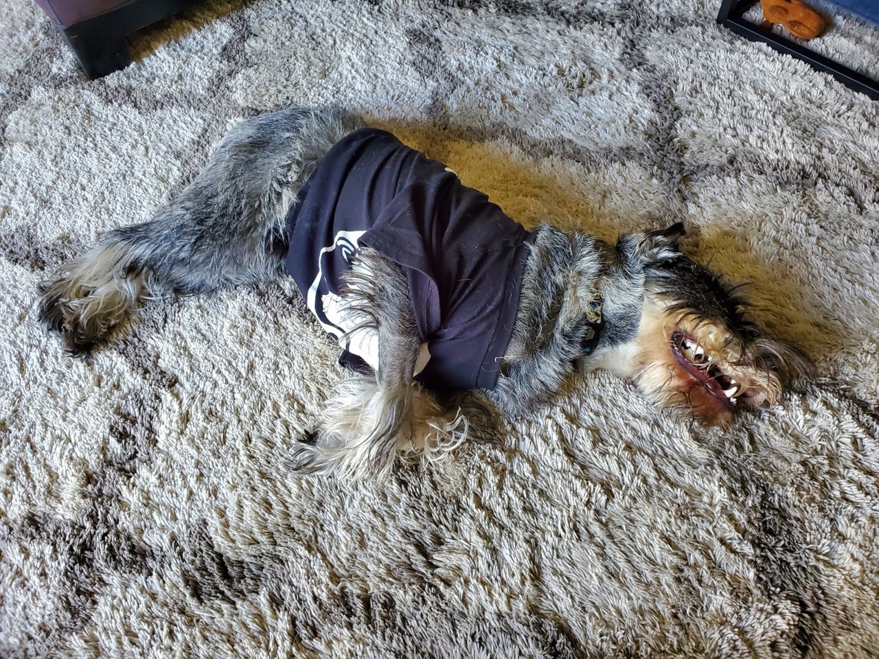 20221031_154741.jpg