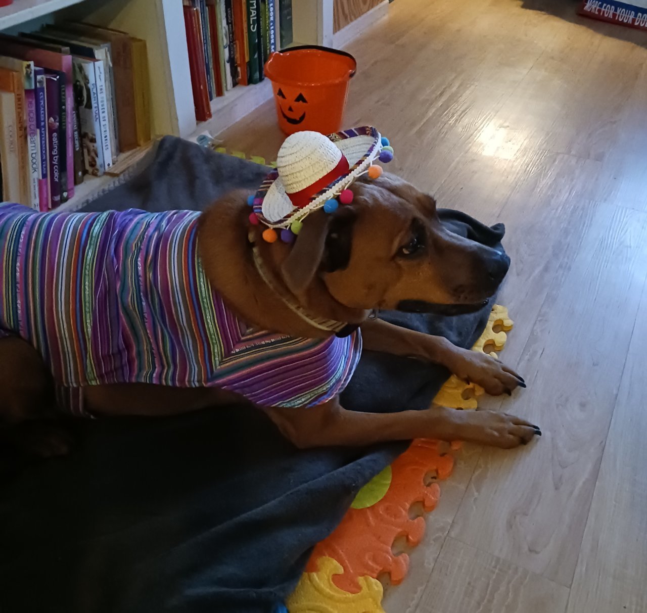 20221031_170247.jpg