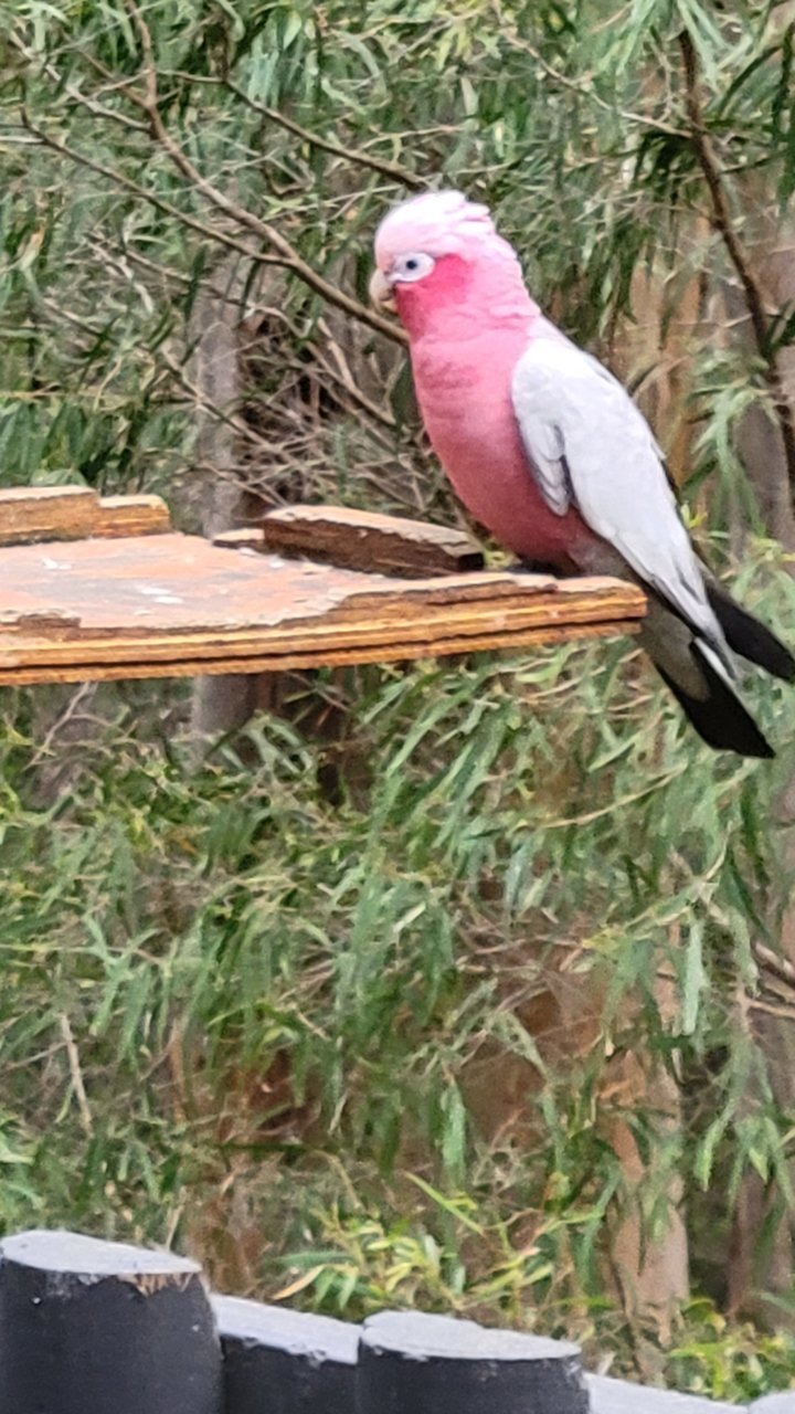 20221031_171505.jpg