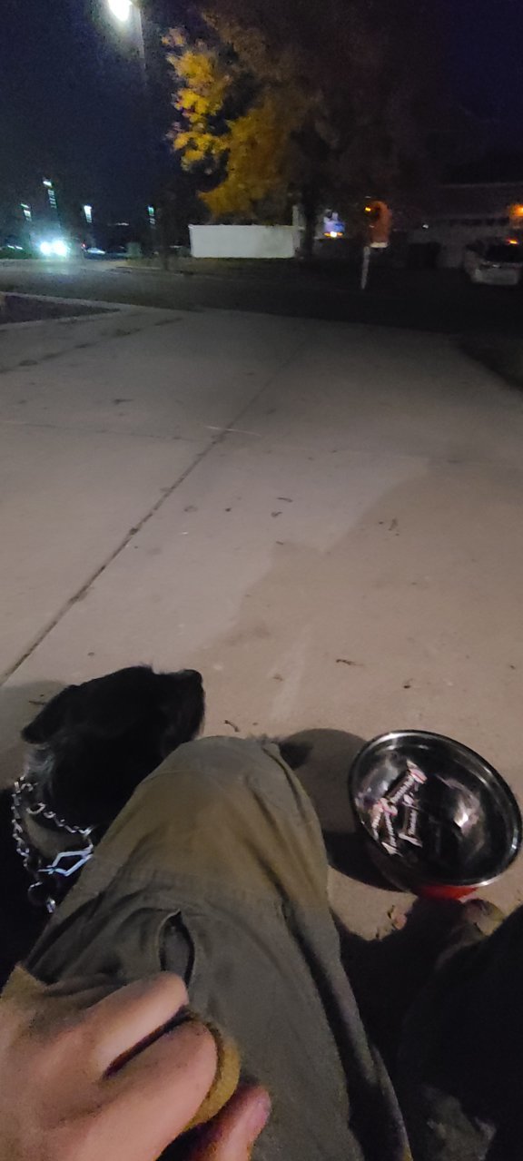 20221031_191228.jpg