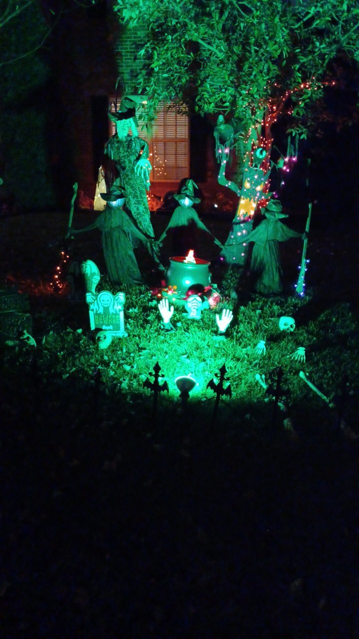 20221031_193037.jpg