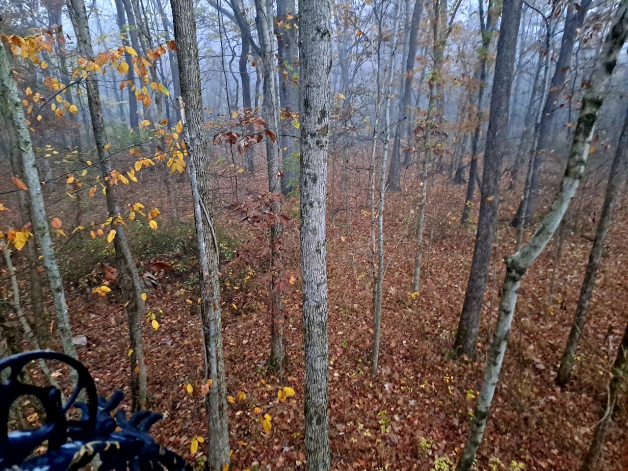20221101_071535.jpg