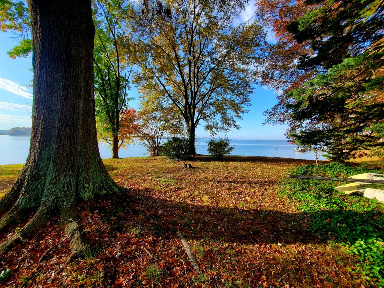 20221101_091352.jpg