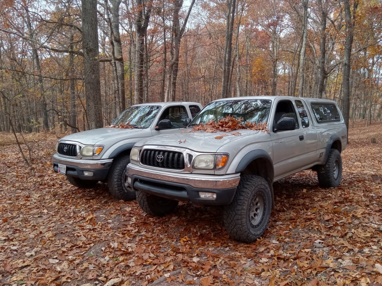 20221102_141242.jpg