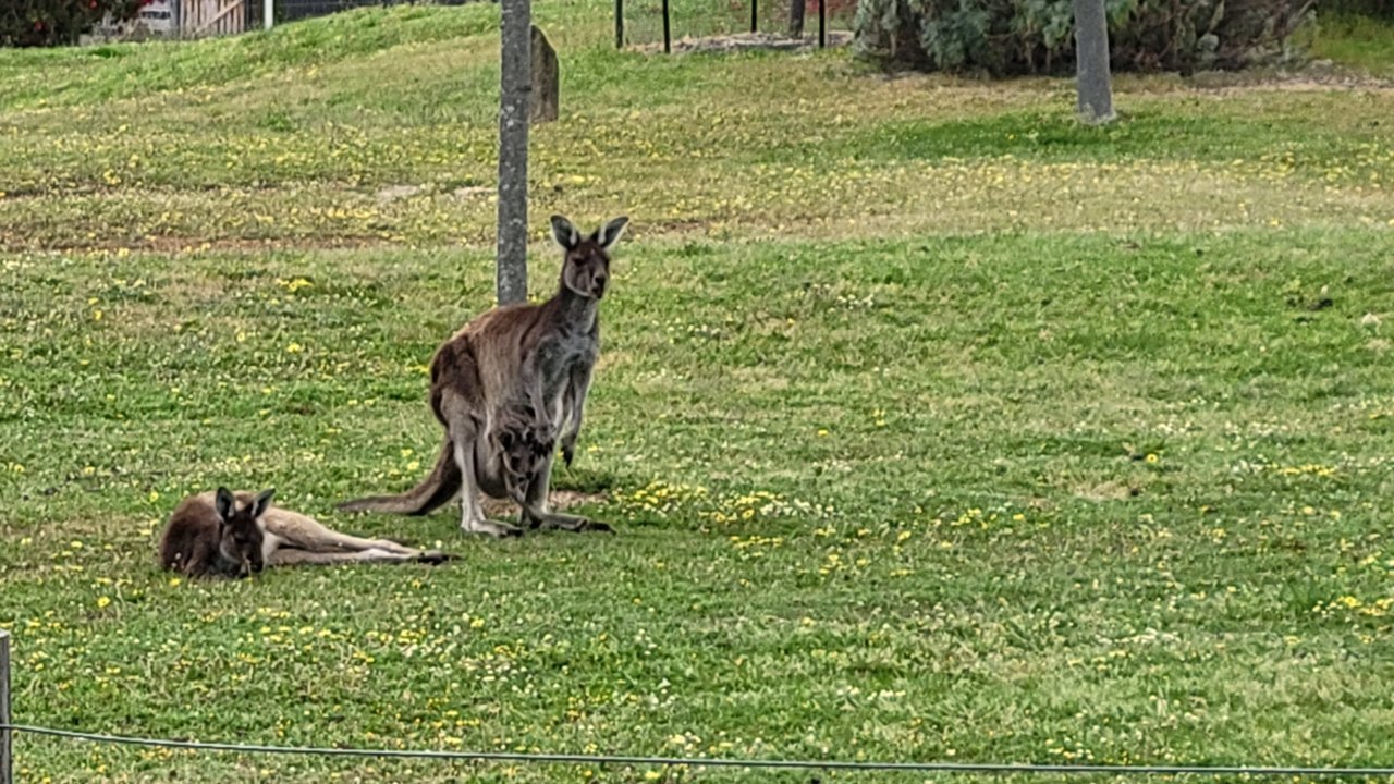 20221103_112054.jpg