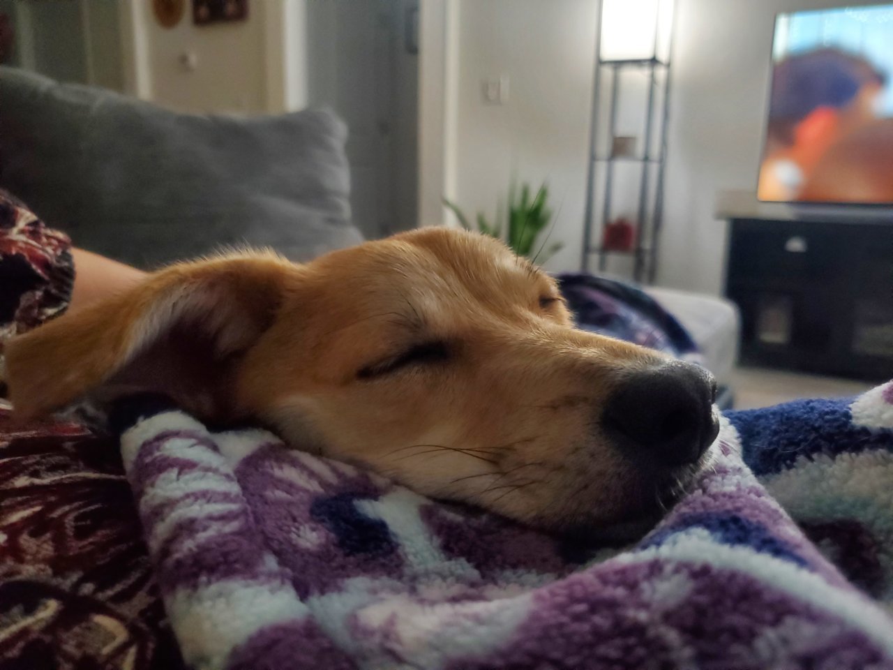 20221103_181043.jpg