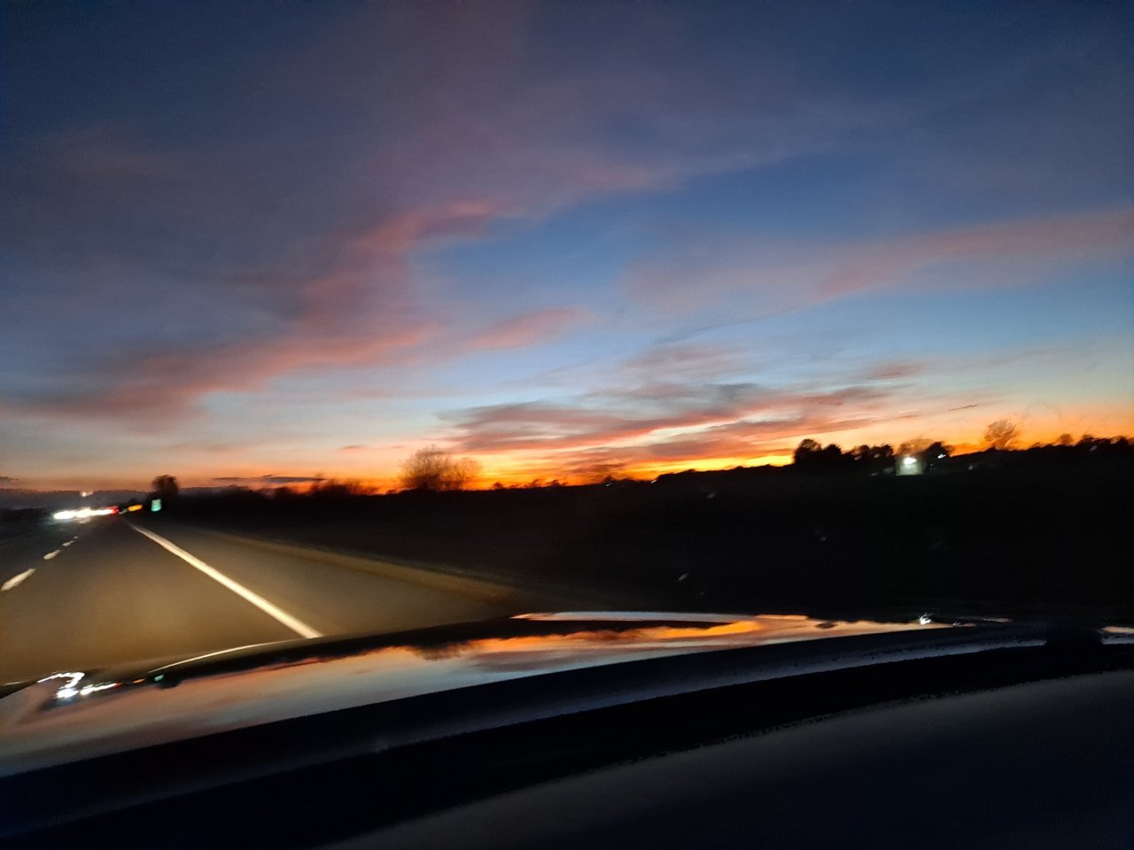 20221106_173126.jpg