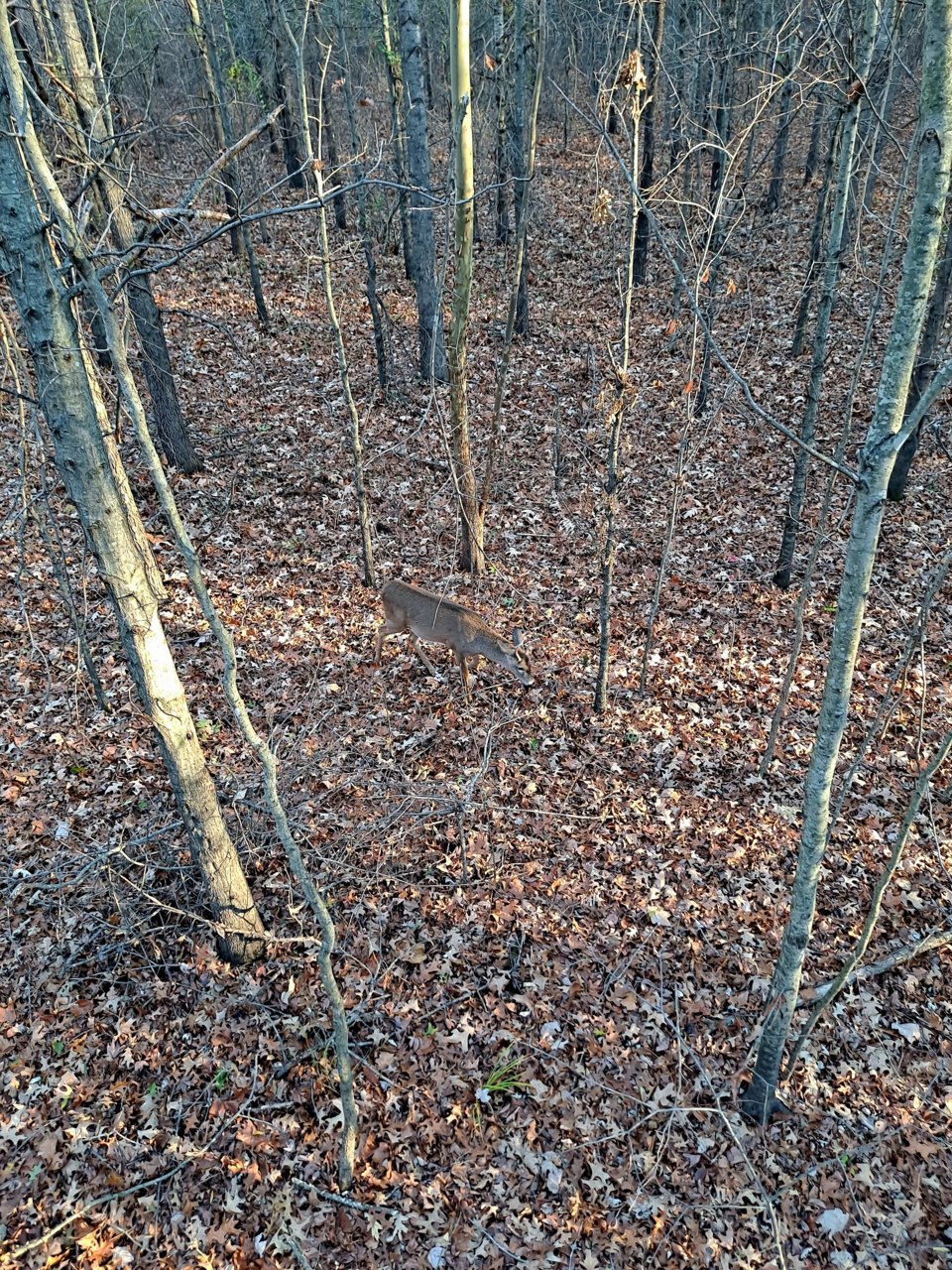 20221107_074017.jpg