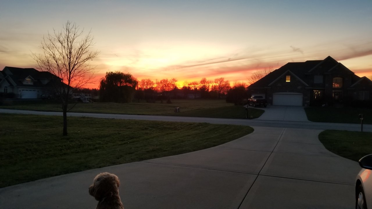 20221107_170202.jpg