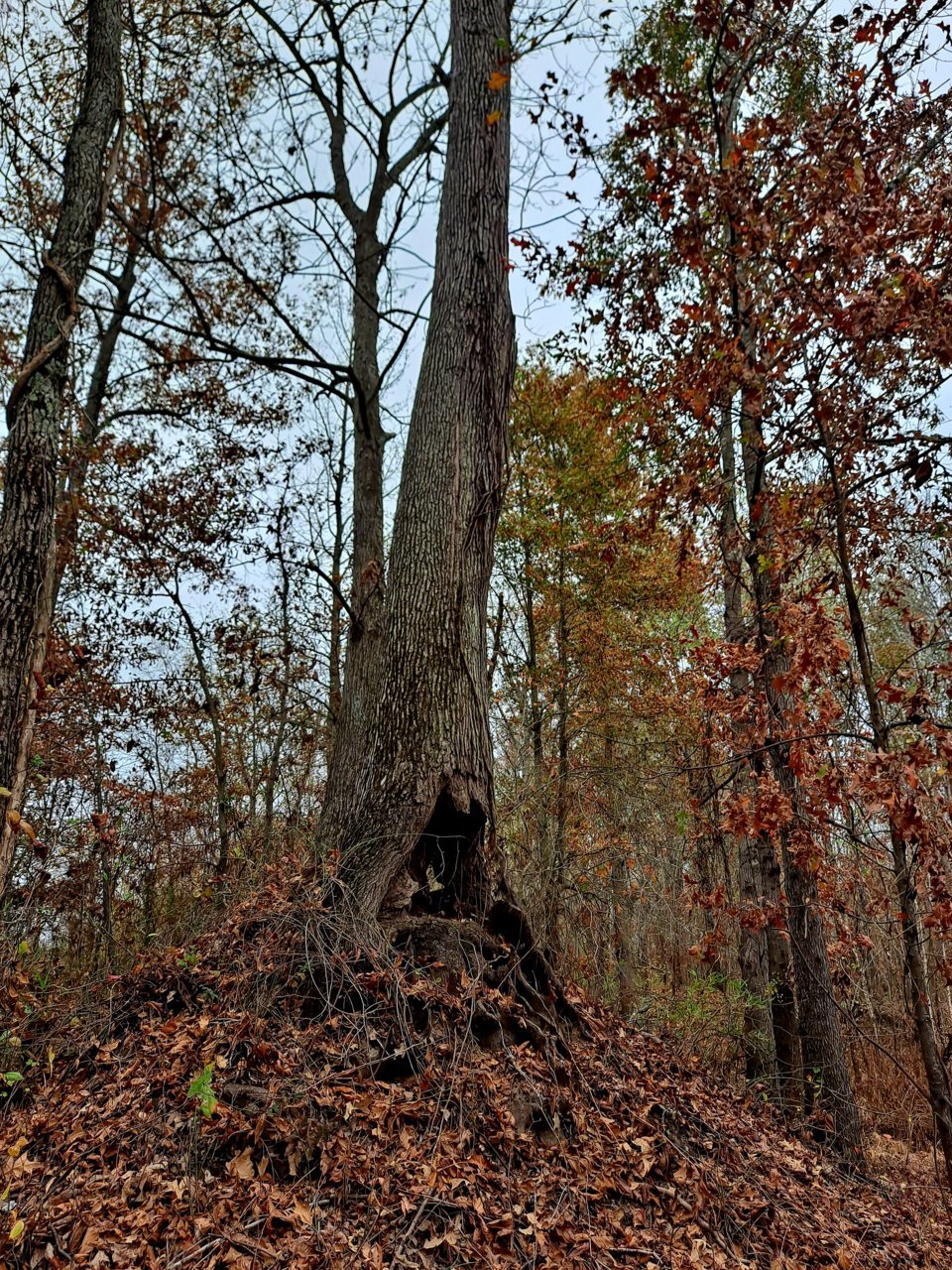 20221108_081549.jpg