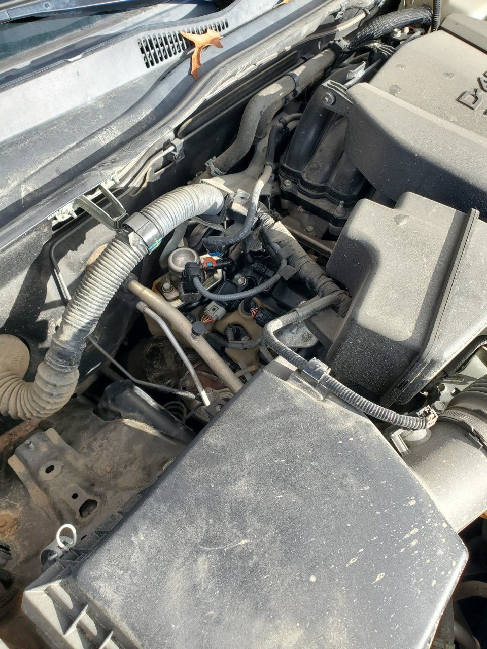 20221110_091557.jpg