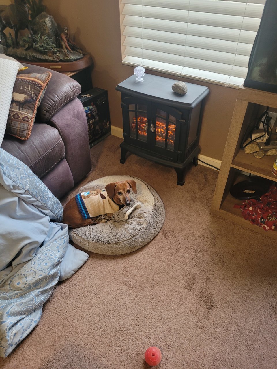 20221112_153111.jpg