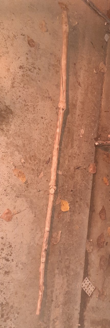 20221113_014050.jpg