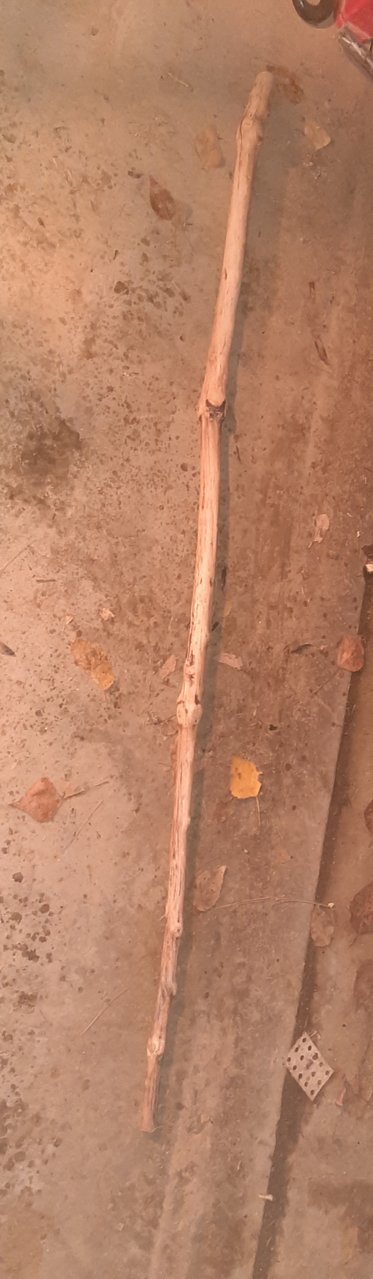 20221113_014102.jpg