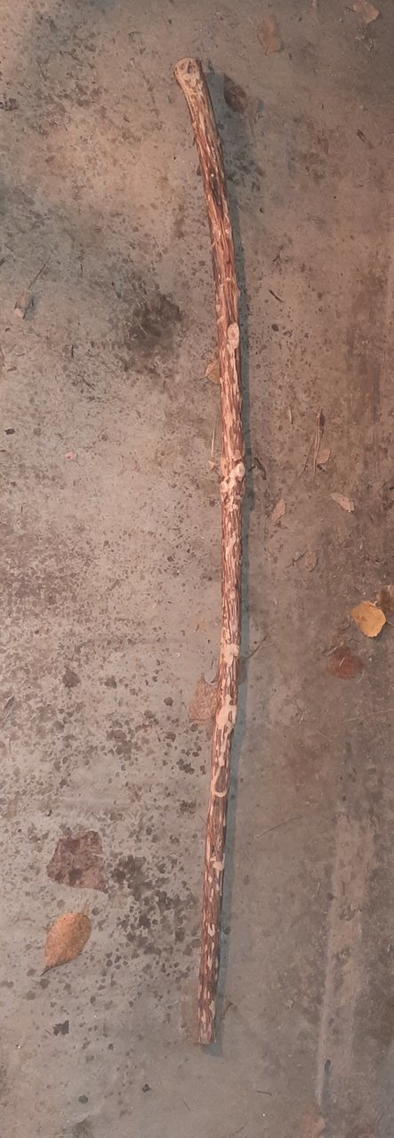 20221113_014322.jpg