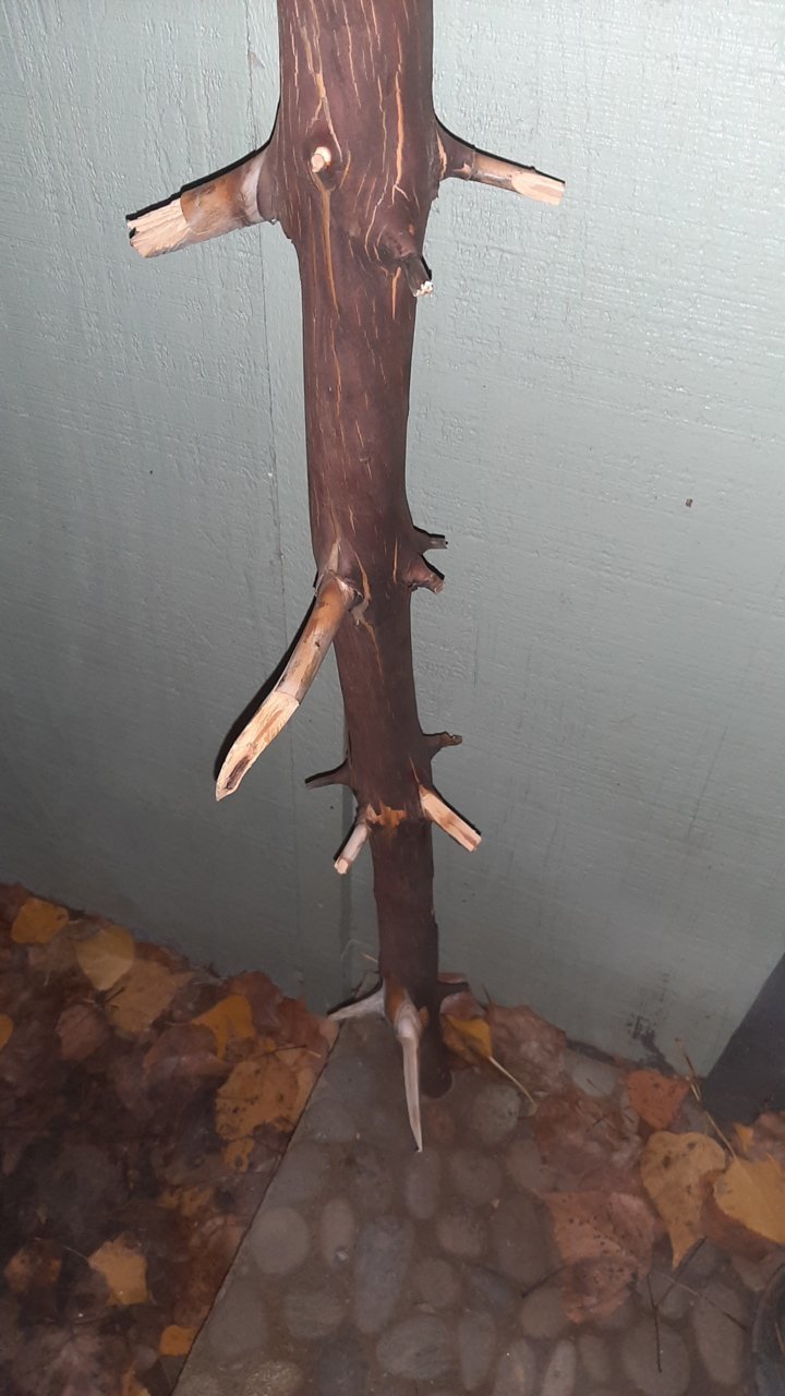 20221113_045342.jpg