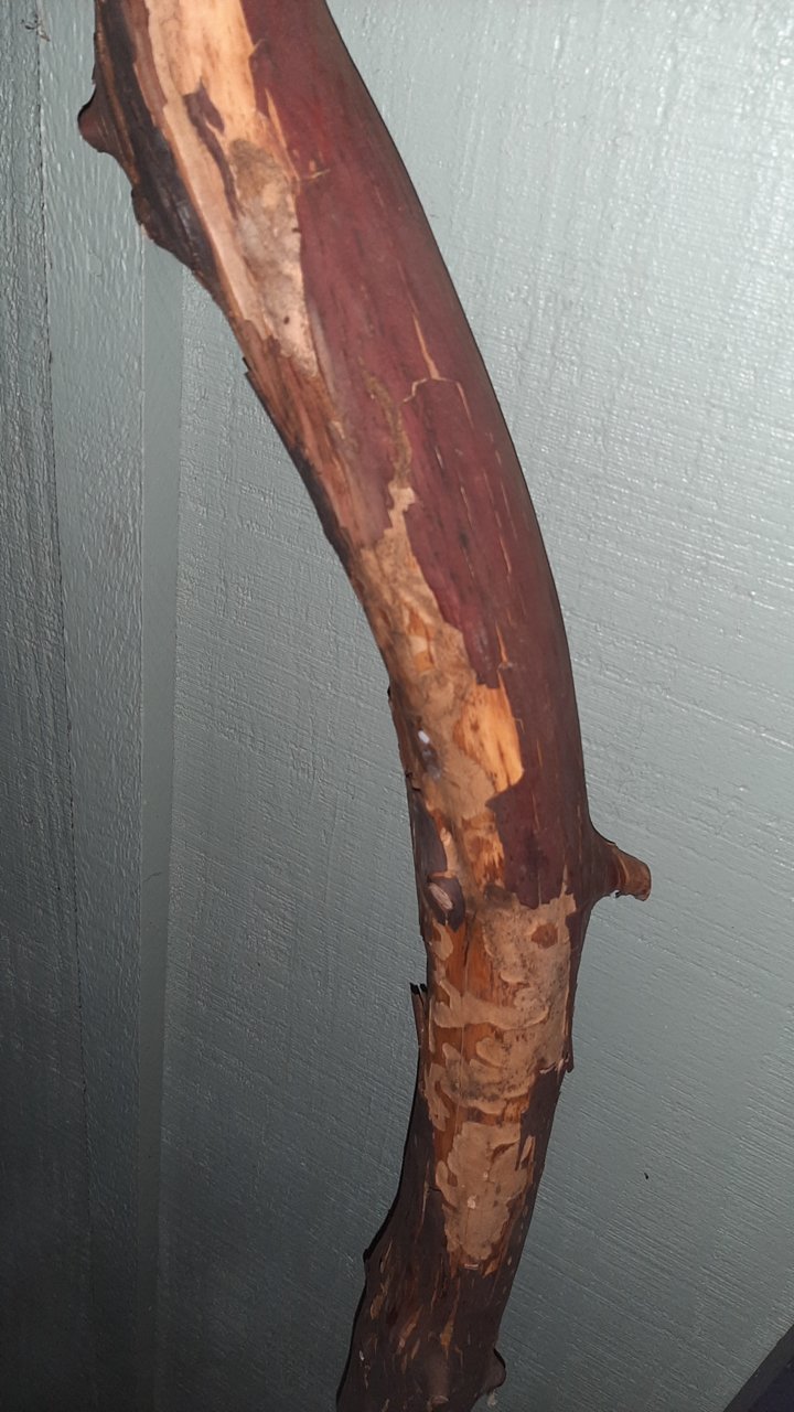 20221113_045414.jpg